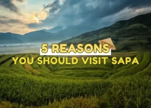 Read more about the article 5 Reasons You Should Visit Sapa